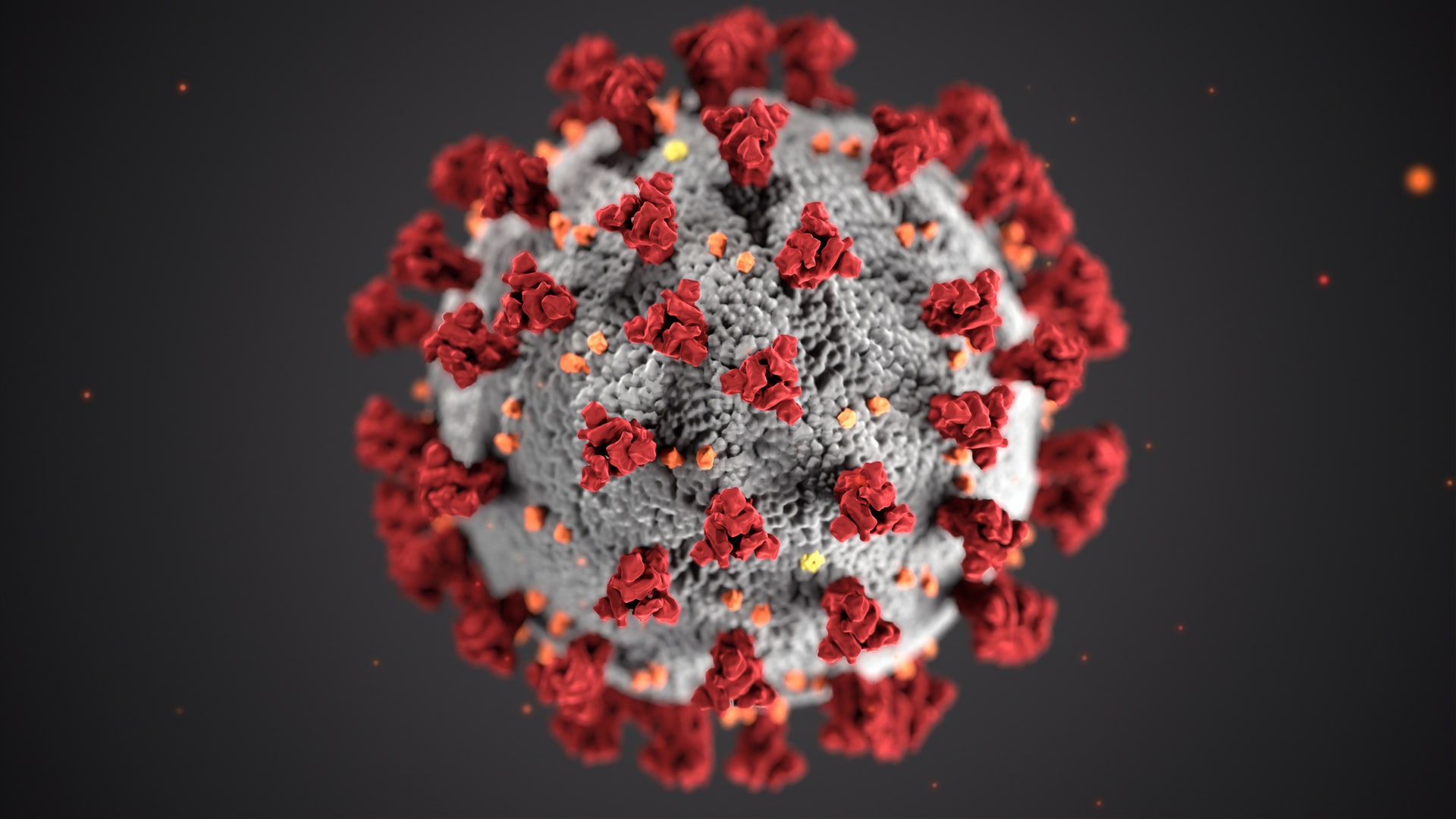 coronavirus from CDC